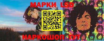 прущий лед Гусев