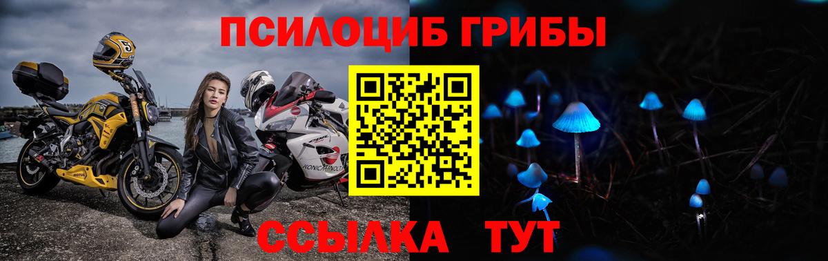 Нарткала  Псилоцибиновые грибы Psilocybine cubensis  Вход с VPN 